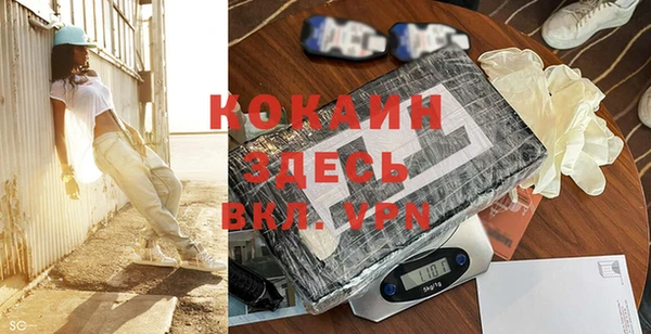 ПСИЛОЦИБИНОВЫЕ ГРИБЫ Абаза