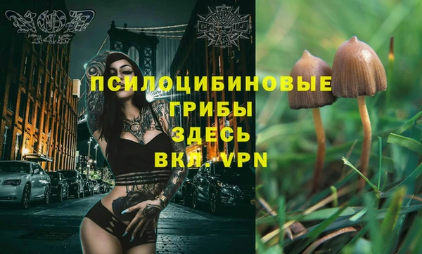 ПСИЛОЦИБИНОВЫЕ ГРИБЫ Абаза