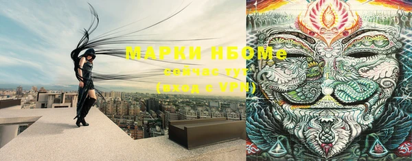 ПСИЛОЦИБИНОВЫЕ ГРИБЫ Абаза